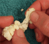 KEFIR grains