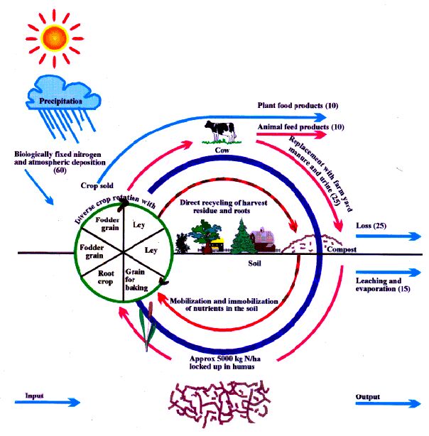 cycles of the earth