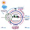 cycles of the earth