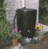 Rainbarrel