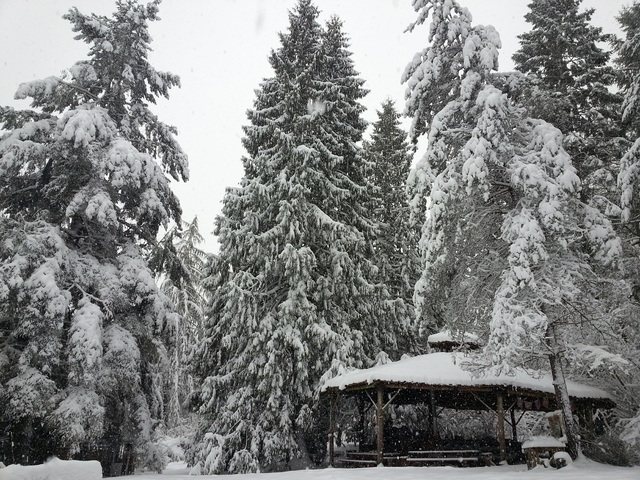 Snowy farm