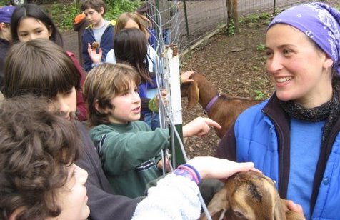 alycia.goats.kids.jpg