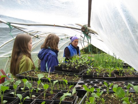 Kids in Greenhouse with Education Intern Alycia Bouyanan