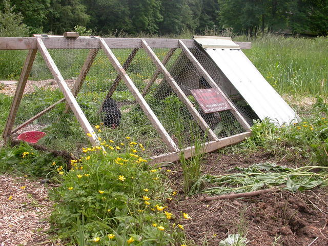 Chicken Tractor