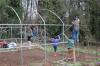 Greenhouse construction 2009 Spring 