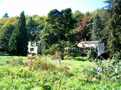 two.houses.from.garden